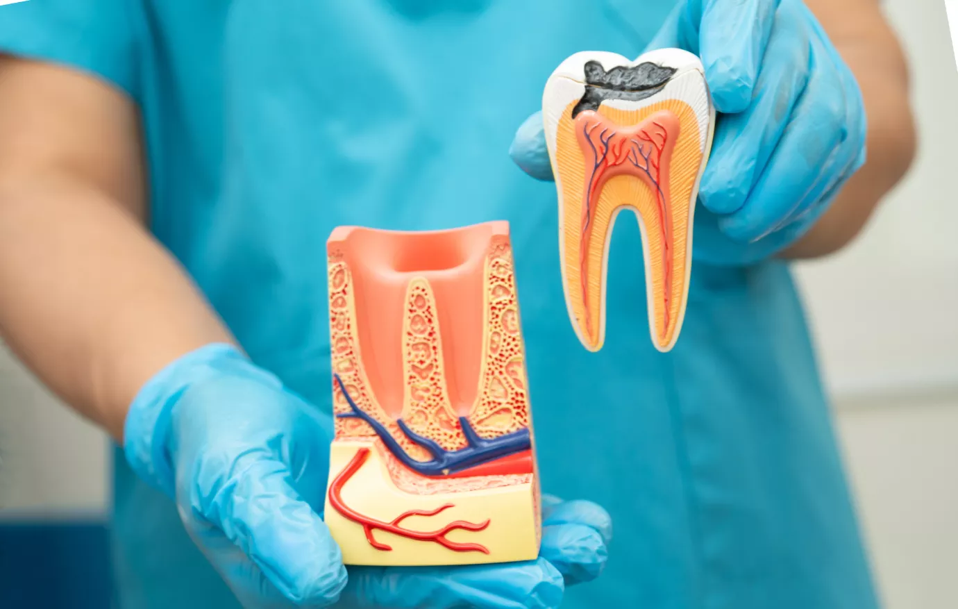 AP Super Speciality Dental